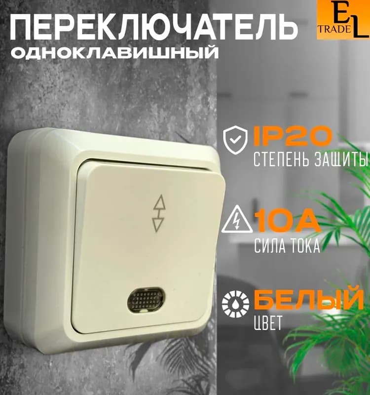 Выключатель TDM 1-клавишный открытой установки IP20 10А белый Ладога