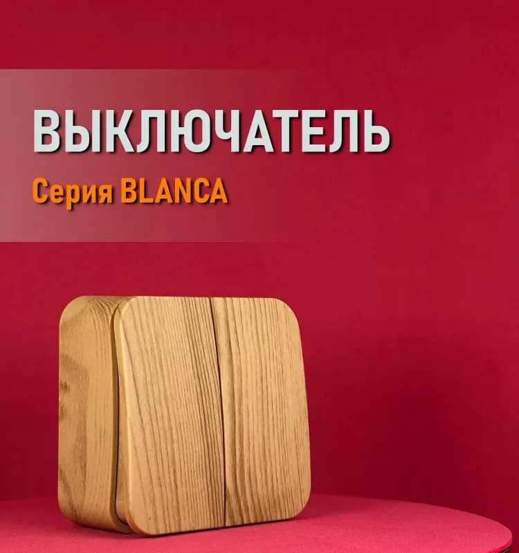 Выключатель Schneider Electric Blanca двухклавишный 10А