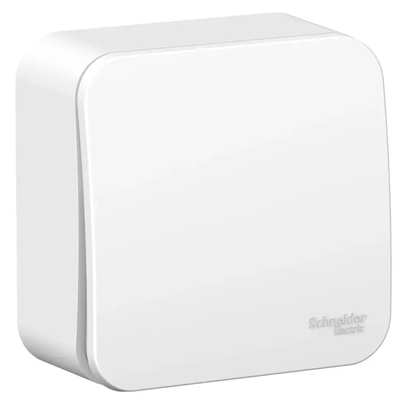 Выключатель Schneider Electric Blanca одноклавишный 10А