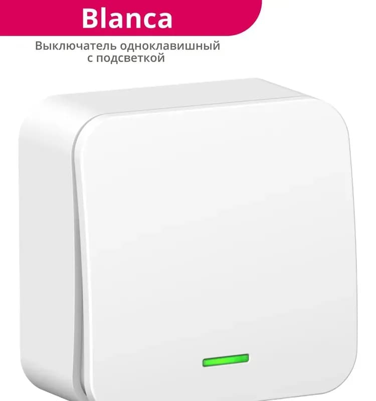 Выключатель Schneider Electric Blanca открытой установки одноклавишный IP20 белый